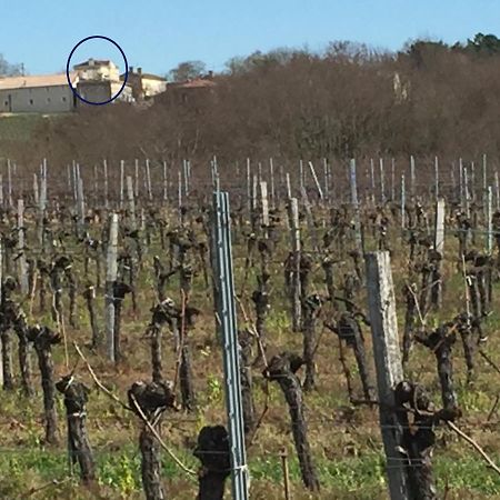 Superbe gîte à la campagne dans le bordelais Saint-Vivien-de-Blaye Exterior foto