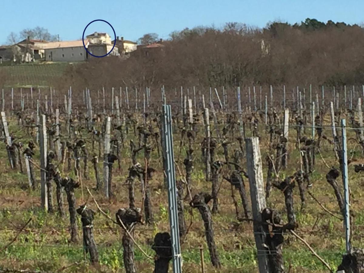 Superbe gîte à la campagne dans le bordelais Saint-Vivien-de-Blaye Exterior foto